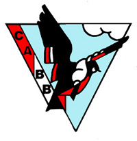 Centre d'Aviation du Bassin de Briey