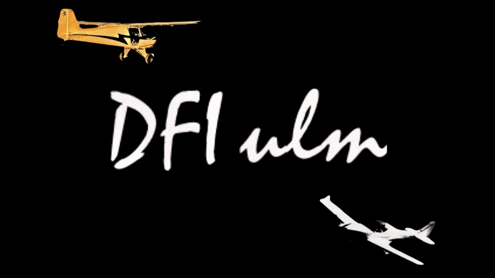 DFI ulm